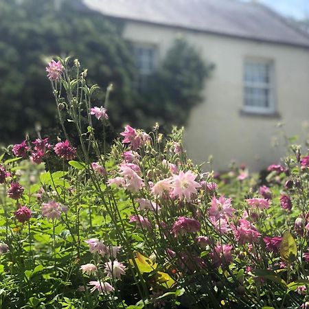 Dalton House Bed And Breakfast Экстерьер фото