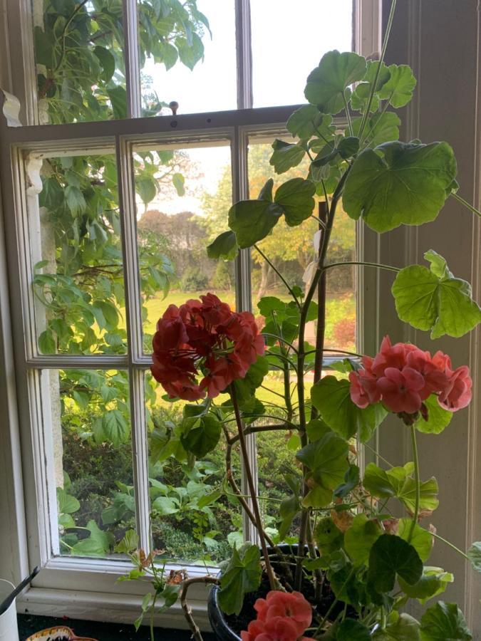 Dalton House Bed And Breakfast Экстерьер фото